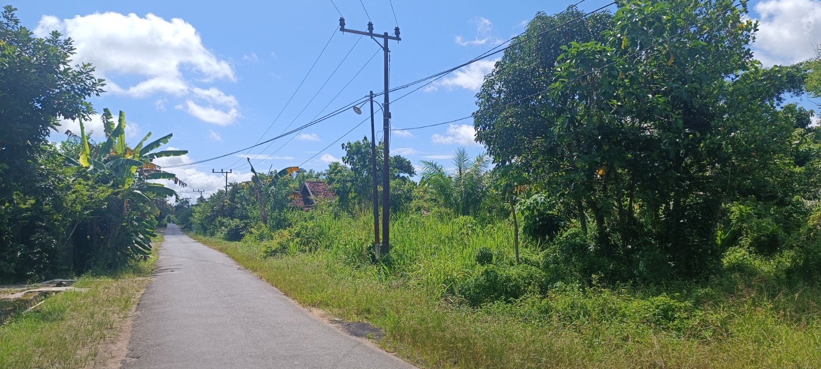 Galeri Tanah - Pelaihari