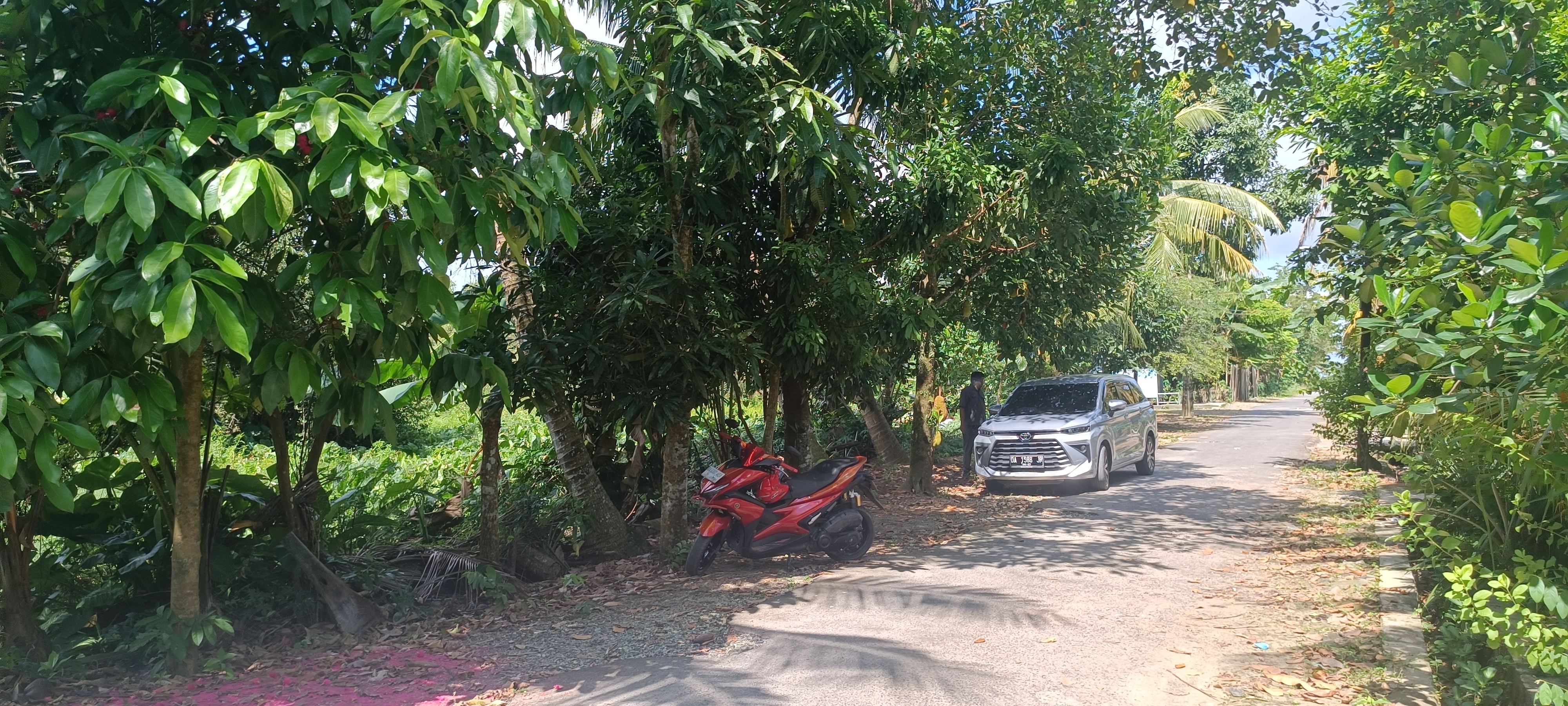 Galeri Tanah - Pelaihari