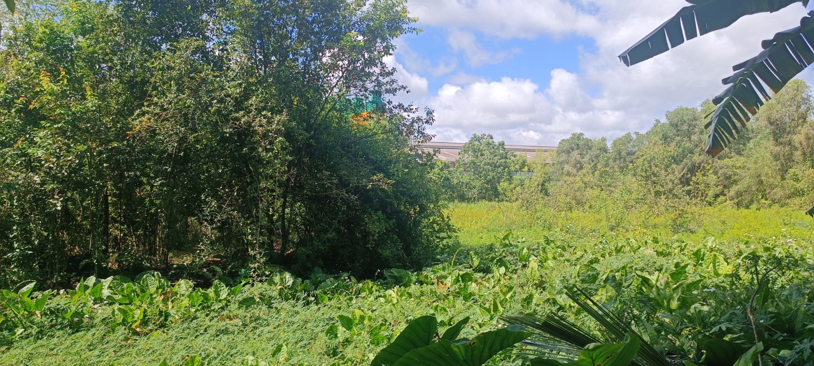 Galeri Tanah - Pelaihari